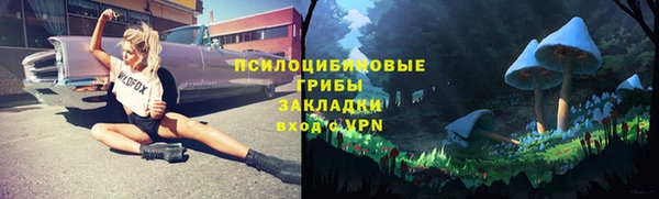 тгк Абдулино