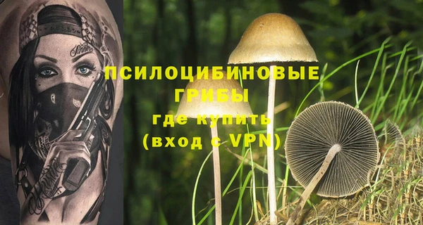 МДПВ Абинск