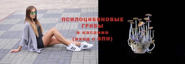 тгк Абдулино