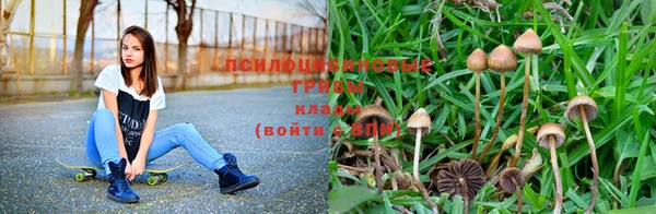 МДПВ Абинск