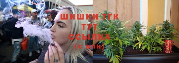 стафф Медногорск