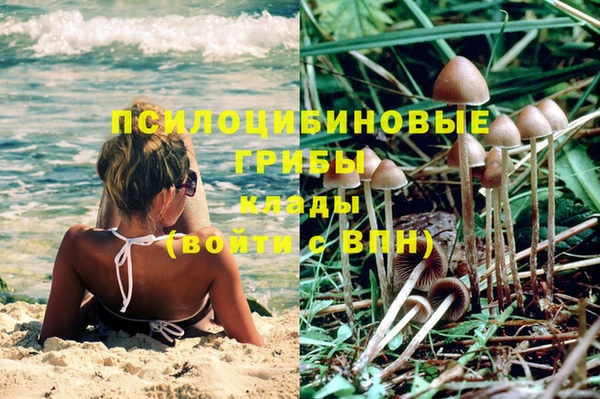 МДПВ Абинск